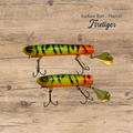 Firetiger Flap Tail